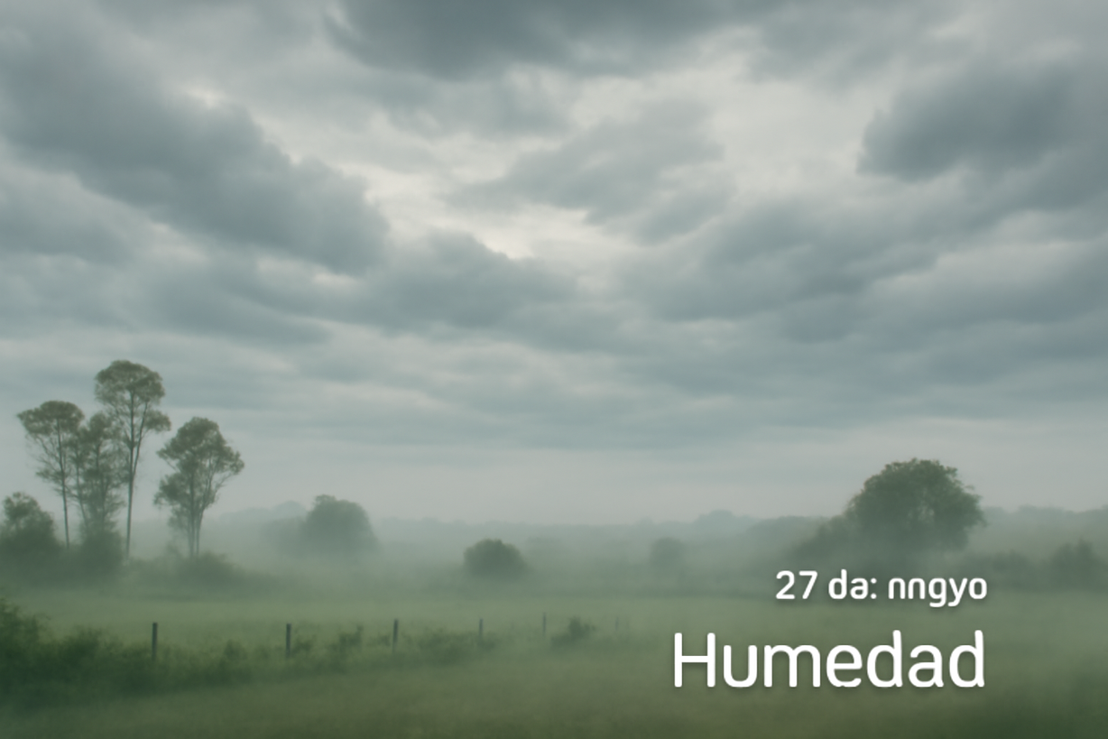 Pronóstico del Tiempo: Día Nublado y Húmedo en Uruguay para el 27 de Mayo de 2026