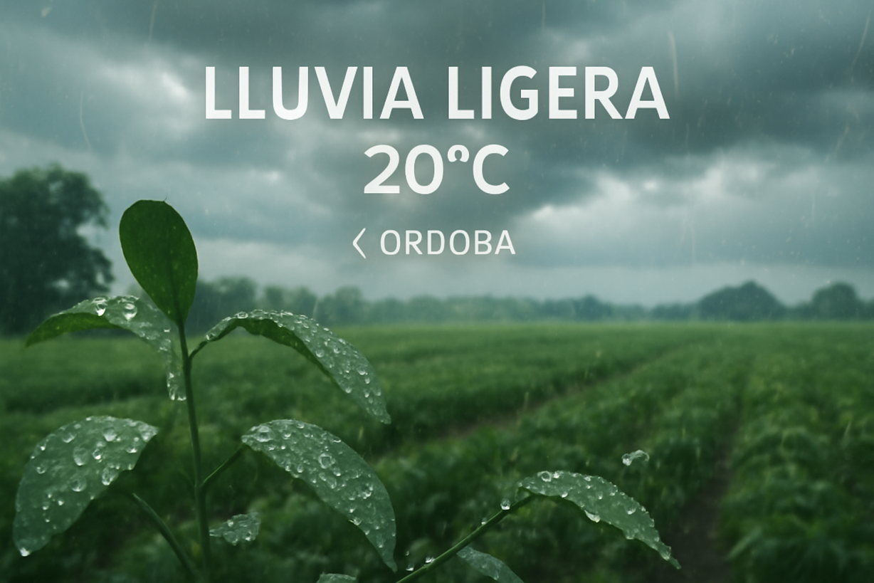 Clima en Córdoba: Lluvias y Temperaturas Frescas para el 4 de Junio de 2026