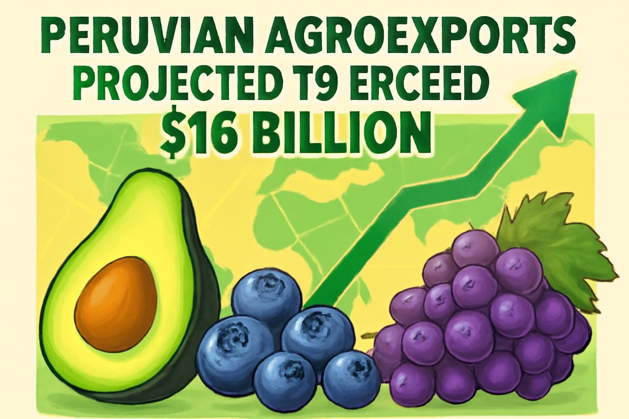 Perú: Agroexportaciones superarán los US$ 16 mil millones para 2026